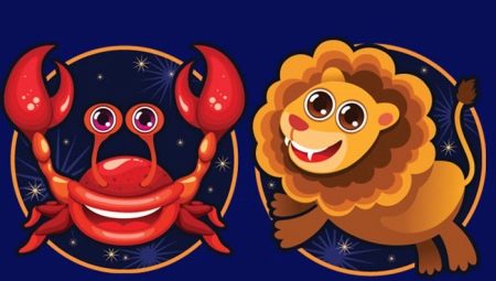 Border sign of Cancer or Leo: characteristics and personality traits