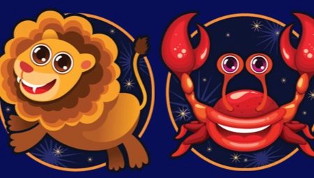 Cancer and Leo: characterization of signs and compatibility in relationships