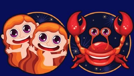 Born 21 and 22 june: character and what zodiac sign do they refer to?