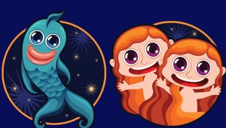 Gemini and Pisces compatibility in friendship and love