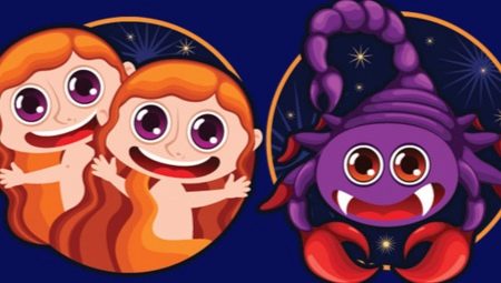 Compatibilitat dels gèminis i a l'escorpí en diversos àmbits de la vida