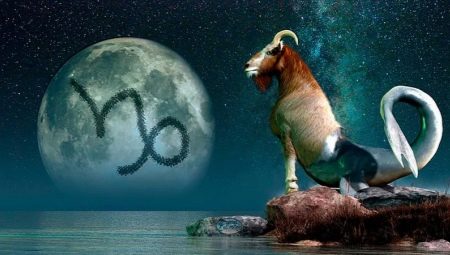 Compatibility of Capricorn with another representative of such a sign and the prospect of a family union