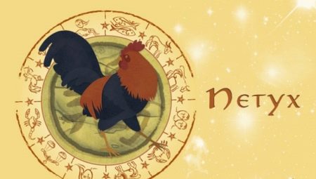 Female Cancer Rooster: characterization and compatibility with other characters