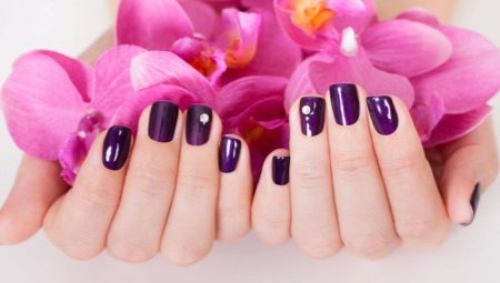 Manicura d’albergínia: tècniques, característiques i idees