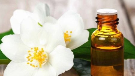 Jasmine essential oil - properties and tips for use