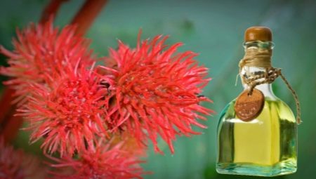 Castor oil for hair: application and effect