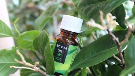 Tea tree oil for the face: the benefits, harms and subtleties of use