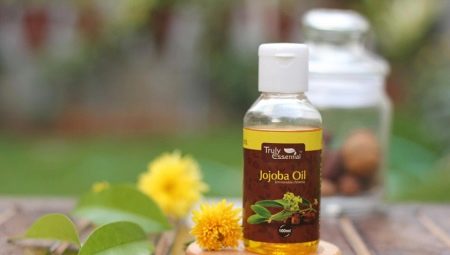 Jojoba oil: properties and recommendations for use