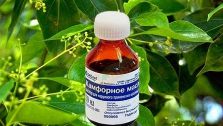 Característiques de l’ús d’oli de càmfora per a la cara en cosmetologia