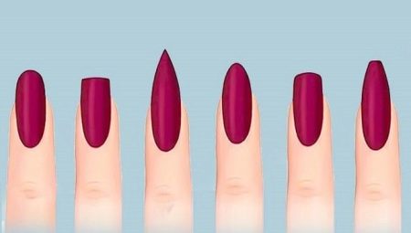 Forms of nails, tips for their selection and creation