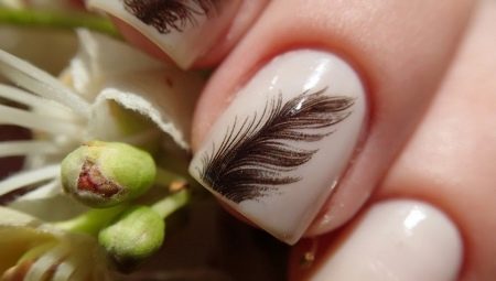 Manicure with a feather: options for a stylish design and a description of the technique of nail design