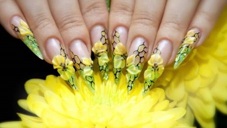 Fashion trends in the design of sharp nails
