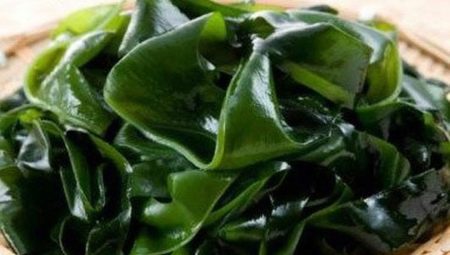 สาหร่ายทะเลห่อ: ผลประโยชน์อันตรายและกฎ