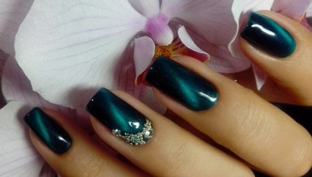 Features of the creation and design ideas of cat eye manicure