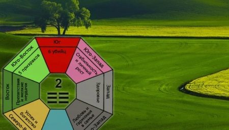 Gua číslo 2: popis, příznivé pokyny a výpočet slučitelnosti