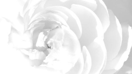 White color in psychology: what does it mean and symbolize?