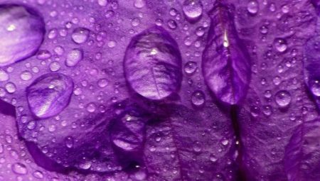 What does purple mean in psychology?