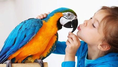 Names for Boy Parrots