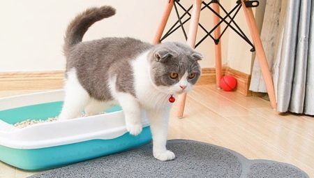How to choose a cat toilet mat?