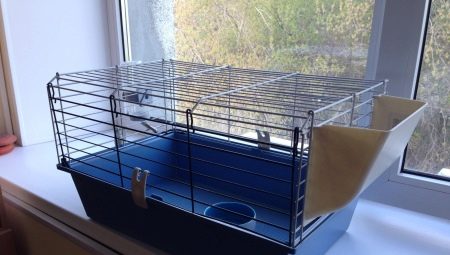 Cages for guinea pigs: selection and arrangement