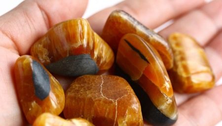 Symbircyte: what happens and to whom does it suit?