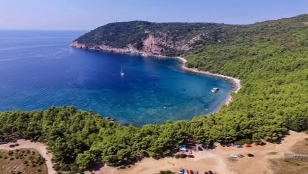 All you need to know about Sutomore