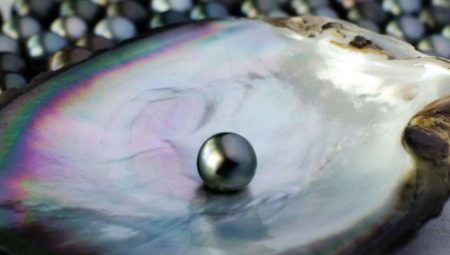 Black pearl: properties, where are they mined and suitable for whom?