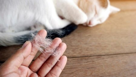 How to get rid of cat hair?