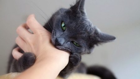 How to wean a cat to bite?