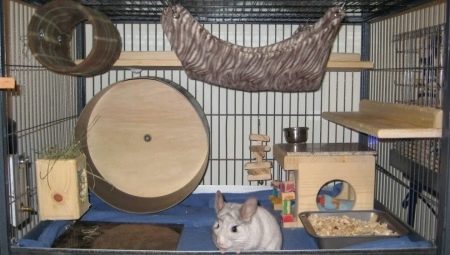 Wie macht man mit eigenen Händen einen Käfig für eine Chinchilla?