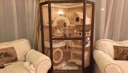 Hvordan laver man et showcase til en chinchilla med egne hænder?