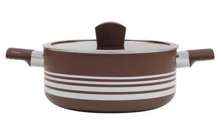 Pots Polaris: pros, cons and choice