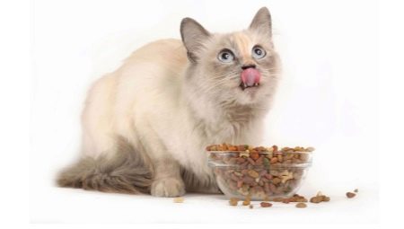 Holostica feed for sterilized cats