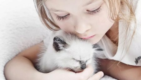 Cats for kids: a review of the best breeds
