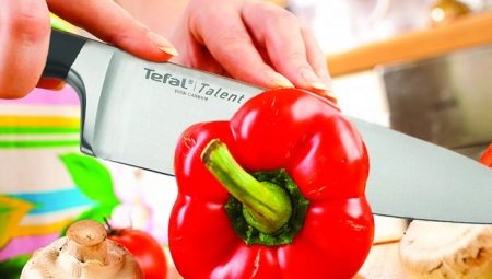 Noże Tefal: cechy i przegląd modeli