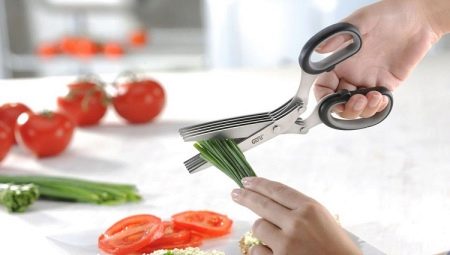 Schere für Grüns: Beschreibung und Auswahl