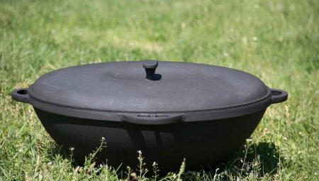 Pārskats par Cauldrons Biol
