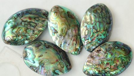 Descripció de l’heliotis, les seves propietats i abast