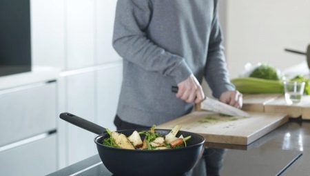 Polaris pannu modeļu īpašības