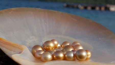 River pearls: features, properties and differences from marine
