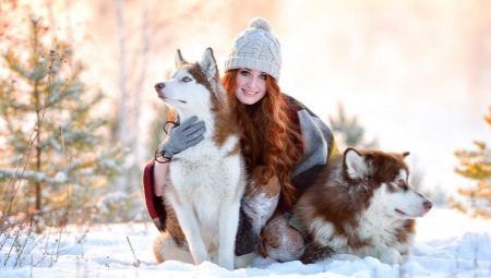 Red Husky: features of color and content