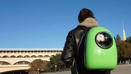 Tips for choosing a carrying backpack for cats