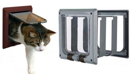 Types and choice of door for a cat