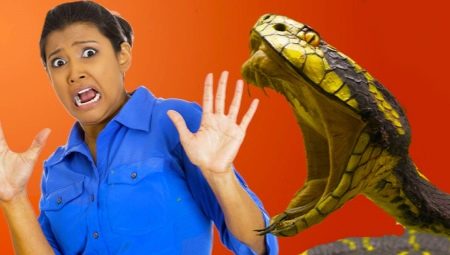 All About Herpetophobia