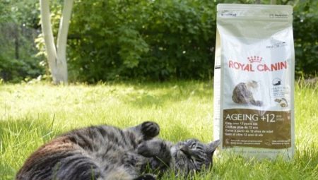 Choose food for cats over 12 years old