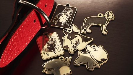 Addresses for dogs: types and methods of manufacture