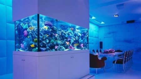 Aquariums in the interior: types, selection and installation recommendations