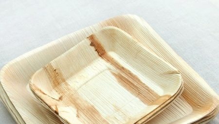 Eco-vessels: features, types and selection criteria