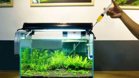 How and from what you can make fertilizers for aquarium plants with your own hands?
