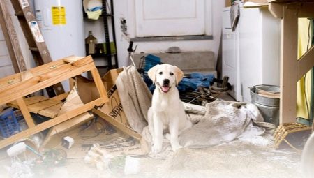 How to wean a dog to bite everything?